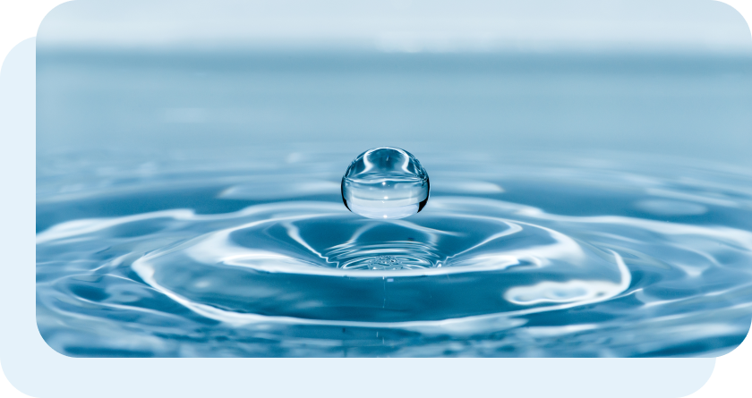 국내 먹는 샘물 1위 막강한 브랜드 파워 사원